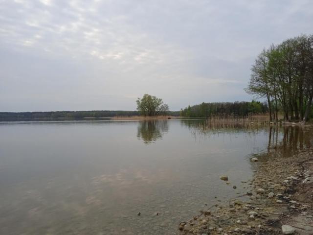 Domek Wypoczynkowy Nad Jez. Dadaj Biskupiec  Esterno foto